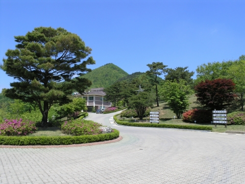 포항시가 선정한 가볼만한곳 1탄 - 가을 바람 따라 걷고 싶은 길