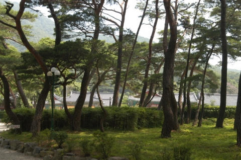 포항시가 선정한 가볼만한곳 1탄 - 가을 바람 따라 걷고 싶은 길