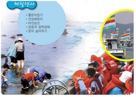 포항시 선정 가볼만한곳 4탄 - 포항 호미곶 돌문어 축제