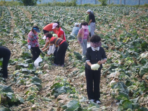 포항시 ‘상옥 슬로우시티’ 도시민 체험장으로 큰 인기