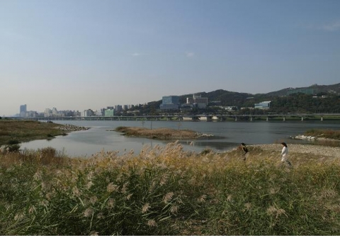 한강변 모습