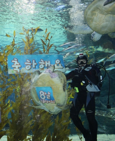 부산아쿠아리움 8살 생일잔치 이벤트
