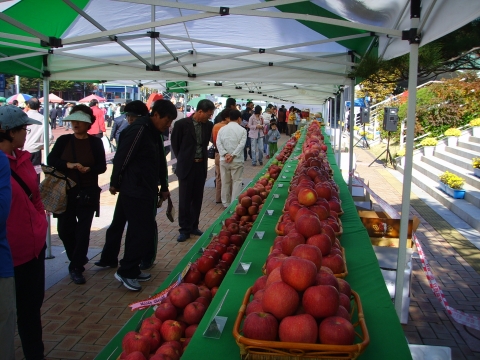 포항시, 2008 친환경농산물 품평 및 홍보직판행사 성황리에 막내려