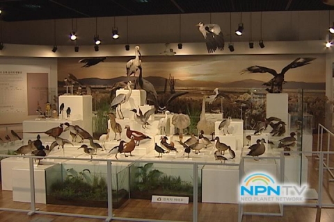 NPN-TV, 환경보존 학습장 ‘국립생물자원관’ 소개