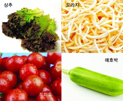 여드름치료에 좋은 음식