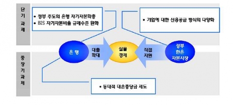 은행의 자본구조 개선을 통한 BIS 자기자본비율 제고 지원 방안