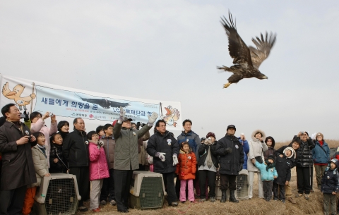 LG상록재단과 한국조류보호협회가 기금 전달식에 참가한 학생 및 학부모와 함께 독수리를 방사하는 모습.