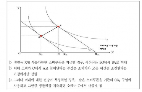 소비쿠폰과 소비증가의 효과