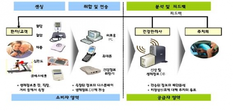 스마트 헬스케어 시스템 개념도