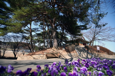 경포대 전경(여행작가 한은희)