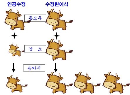 농촌진흥청, 수정란 관리 프로그램 개발