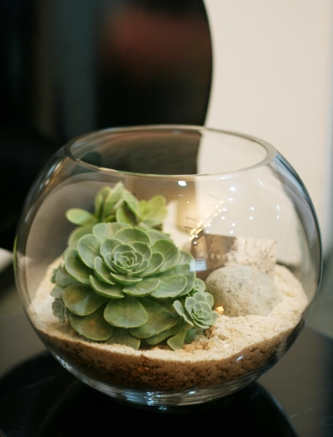 까사스쿨, 가드닝(Gardening) 원데이 클래스 진행