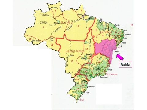 STX가 공급하는 디젤발전세트가 설치될 브라질 동북부 ‘바히아(Bahia)’지역 약도