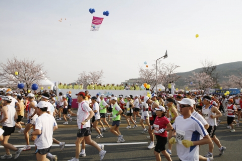 2008년 제17회 경주벚꽃마라톤·워킹대회 사진