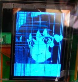 ETRI, ‘투명 트랜지스터 이용한 AM OLED’ 세계 최초 개발