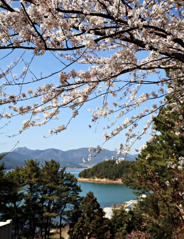 한려수도