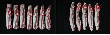 사진 3. 삼겹살(좌)과 갈비살이 포함된 앞다리살(우) : 뼈의 부착위치가 다름