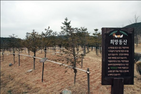 - 영흥화력발전소(인천시 옹진군 영흥도)의 희망동산에는 소아암 어린이 가족들이 해마다 심은 나무 120그루가 자라고 있다.
