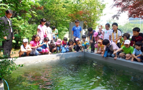 26일 강서구 오쇠동 아시아나타운에서 열린 '아시아나 환경스쿨'에 견학 온 강서구 염창초등학교 학생들이 친환경 오폐수처리시설로 정화된 물에 살고있는 금붕어들을 바
