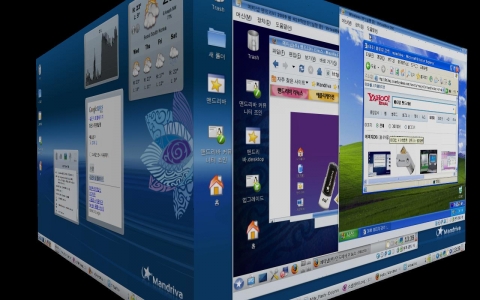 메타냅 맨드리바 리눅스 2009 봄 가상머신 3D