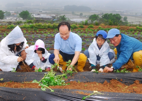 23일(토) 아시아나항공 임직원 및 가족들이 1사1촌을 맺은 강원도 홍천군 외삼포 2리를 방문하여 고구마심기 등 일손돕기 봉사활동을 펼치고 있다.