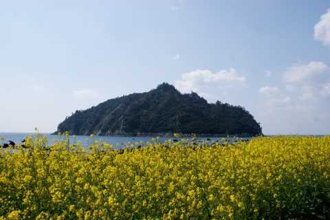 서귀포KAL호텔 주변경관