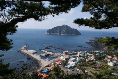 서귀포KAL호텔 주변경관