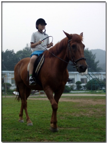 21세기생명과학문화재단에서 홍천 한생연 자연학교에서 실시한 생명과학 종합캠프 참가자들- 승마 교육