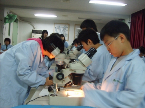 21세기생명과학문화재단에서 홍천 한생연 자연학교에서 실시한 생명과학 종합캠프 참가자들- 현미경 관찰