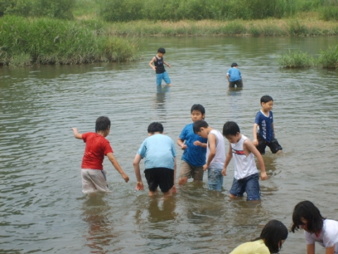 21세기생명과학문화재단에서 홍천 한생연 자연학교에서 실시한 생명과학 종합캠프 참가자들- 수생 생물 관찰 탐구