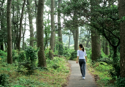 서귀포KAL호텔 산책코스