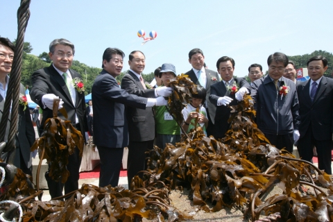 포항시, 바다 숲 가꾸기 선포 행사 개최