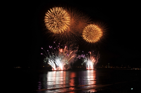 제6회 포항국제불빛축제 전경