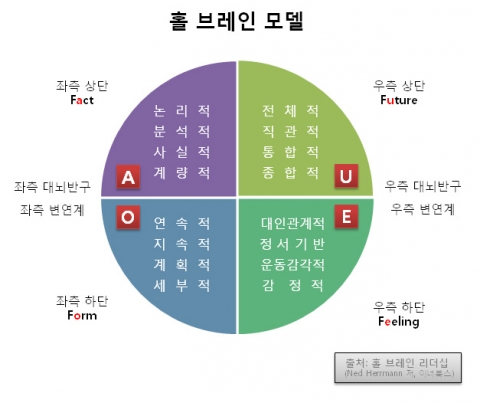 홀 브레인 모델