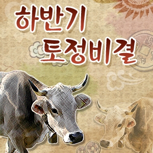 헬로우운세, 이지함의 토정비결 원문을 기반으로 한 ‘하반기 토정비결’서비스 선