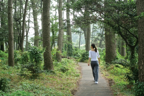 KAL호텔과 함께하는 경제적인 실속패키지의 다양한 특전