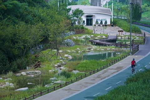 청계천 하류, 생태습지원 조성