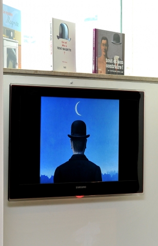 삼성 LED TV, 벨기에 친환경 미술관과 함께 하다