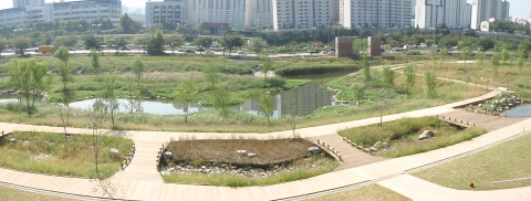 수질정화습지구역내 수질정화원