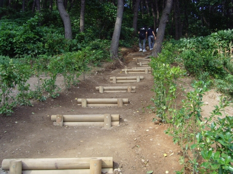동명대학교총장감사패 해당 사업장면2