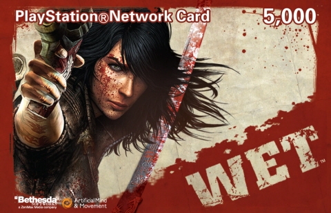 WET_예판 프리미엄_PSN Card