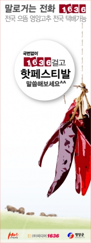 축제 이름이 전화번호?…말로거는전화‘1636’ 전국 축제에 무료서비스 제공