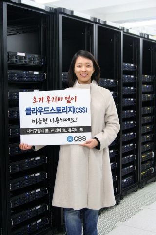 CSS(클라우드스토리지서비스)가 기업의 업무효율을 높이고 고정비용을 줄일 수 있는 대안으로 떠오르고 있어 스토리지 업계에 인기다.