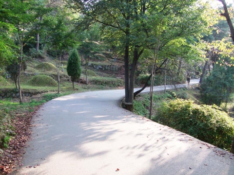 망우리 공원묘지 사색의 길