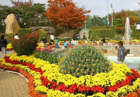 울산 동구 일대에서 펼쳐지는 ‘2009 가을 국화 전시회’