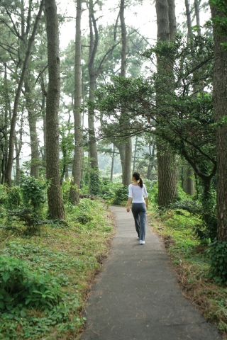 서귀포KAL호텔 산책로