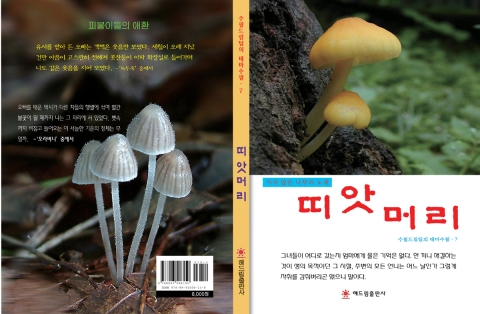 띠앗머리 표지