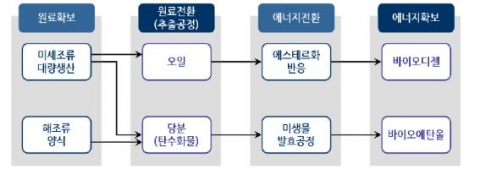 해양조류 바이오연료 생산 모식도