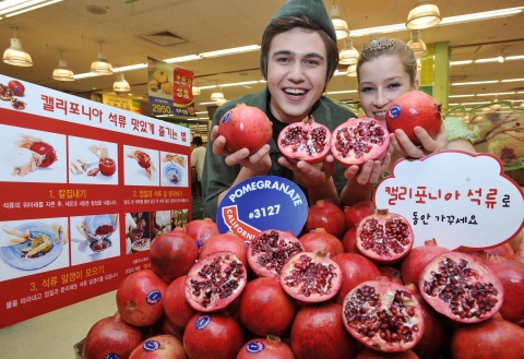 “피터팬 젊음의 비결은 캘리포니아 석류!” 23일 이마트 용산점에서 본격적인 석류 출하시즌을 맞아 동안의 상징인 피터팬과 요정 팅커벨로 분장한 모델들이 ‘씨까지 먹는’ 캘리포니아 