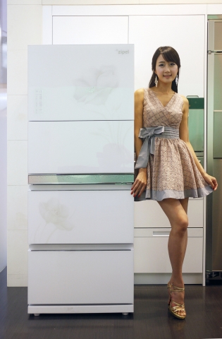 2010년형 김치냉장고